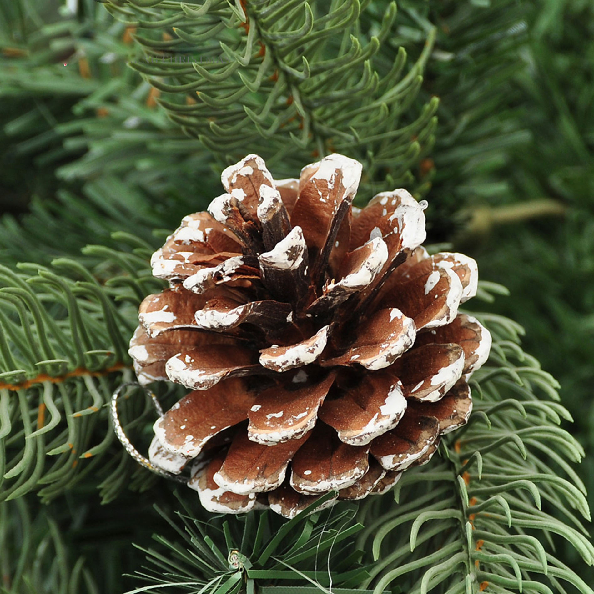 ids Home 8pcs Snow Pinecone Ornaments Christmas Tree Baubles Pine Cones Decorations
